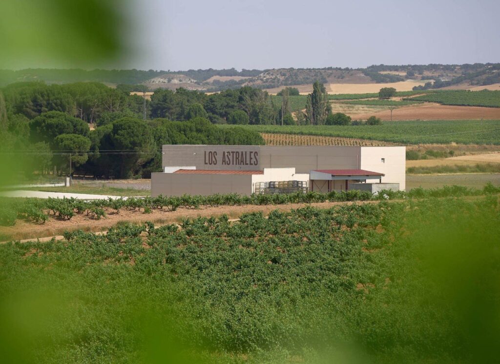 Creatividad para la noticia sobre los enólogos de la Bodega Los Astrales